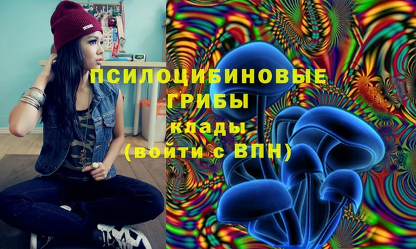 твердый Михайлов