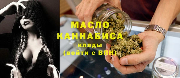 твердый Михайлов