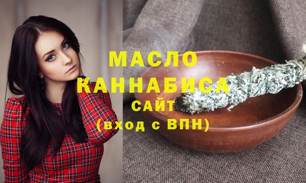 твердый Михайлов
