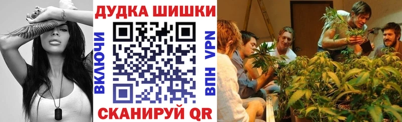 Бошки Шишки VHQ  Новоузенск 
